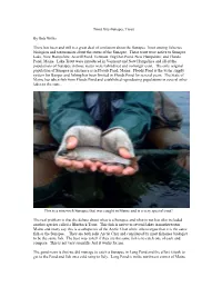 Trout Site-Sunapee Trout by Bob Willis There Has Been and Still Is A