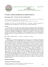 Towards a Natural Classification of Amplistromataceae