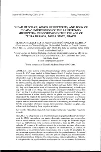 AND BODY of CICADA": IMPRESSIONS of the LANTERN-FLY (HEMIPTERA: FULGORIDAE) in the VILLAGE of Penna BRANCA" BAHIA STATE, BRAZIL