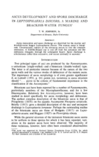 Ascus Development and Spore Discharge in &lt;I