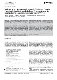 Biofragments: an Approach Towards Predicting Protein Function Using Biologically Related Fragments and Its Application to Mycobacterium Tuberculosis CYP126 Sean A