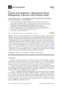 Candida and Candidiasis—Opportunism Versus Pathogenicity: a Review of the Virulence Traits
