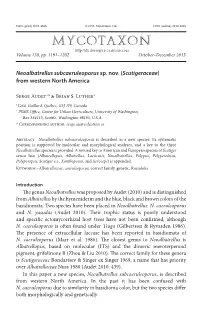 &lt;I&gt;Neoalbatrellus Subcaeruleoporus&lt;/I&gt;