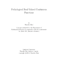 Pathological Real-Valued Continuous Functions