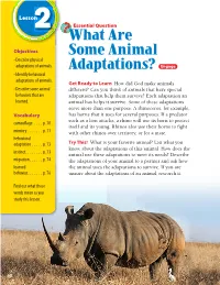 What Are Some Animal Adaptations? Animals Rely on Physical Adaptations, Instincts, and Learned Behaviors to Survive in Their Environments