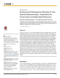 Dioscorea Spp.): Implication for Conservation and Agricultural Practices