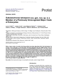Subulatomonas Tetraspora Nov. Gen. Nov. Sp. Is a Member of a Previously Unrecognized Major Clade of Eukaryotes