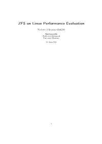ZFS on Linux Performance Evaluation