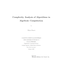 Complexity Analysis of Algorithms in Algebraic Computation