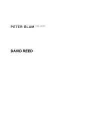 David Reed Peter Blum Gallery