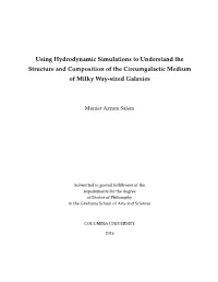 Using Hydrodynamic Simulations to Understand the Structure and Composition of the Circumgalactic Medium of Milky Way-Sized Galaxies