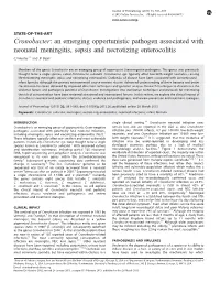 Cronobacter: an Emerging Opportunistic Pathogen Associated with Neonatal Meningitis, Sepsis and Necrotizing Enterocolitis