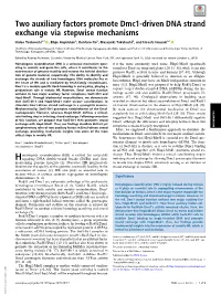 Two Auxiliary Factors Promote Dmc1-Driven DNA Strand Exchange Via Stepwise Mechanisms