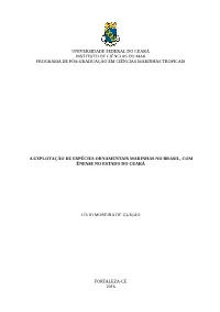 2016 Tese Lmdegurjao.Pdf