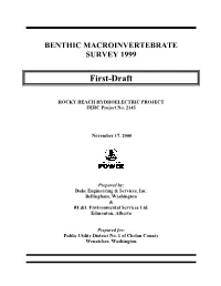 Benthic Macroinvertebrate Survey 1999