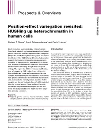 Position‐Effect Variegation Revisited