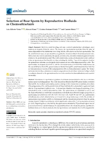Selection of Boar Sperm by Reproductive Biofluids As