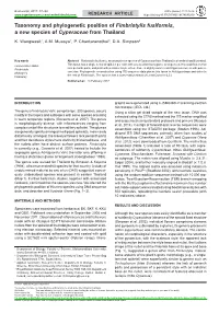 Taxonomy and Phylogenetic Position of &lt;I&gt;Fimbristylis