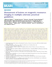 Assessment of Lesions on Magnetic Resonance Imaging in Multiple