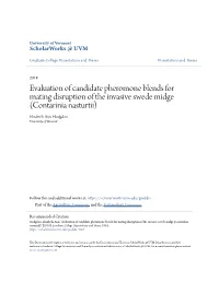 Evaluation of Candidate Pheromone Blends for Mating Disruption of the Invasive Swede Midge (Contarinia Nasturtii) Elisabeth Ann Hodgdon University of Vermont
