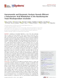 Genomewide and Enzymatic Analysis Reveals Efficient D-Galacturonic