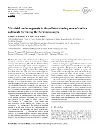 Microbial Methanogenesis in the Sulfate-Reducing Zone of Surface Sediments Traversing the Peruvian Margin