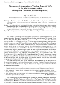 1427 Ben-Dov