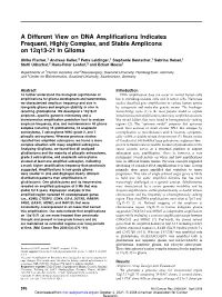 A Different View on DNA Amplifications Indicates Frequent, Highly Complex, and Stable Amplicons on 12Q13-21 in Glioma