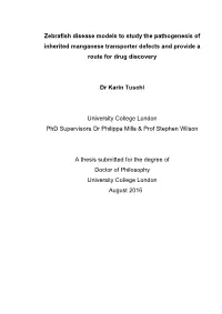 Zebrafish Disease Models to Study the Pathogenesis of Inherited Manganese Transporter Defects and Provide A