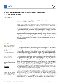 Plectin-Mediated Intermediate Filament Functions: Why Isoforms Matter
