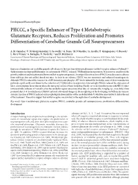 PHCCC, a Specific Enhancer of Type 4 Metabotropic Glutamate Receptors, Reduces Proliferation and Promotes Differentiation of Cerebellar Granule Cell Neuroprecursors