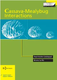 Cassava-Mealybug Interactions