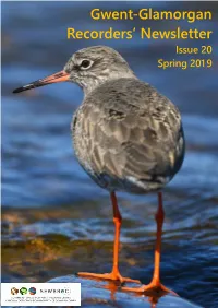Gwent-Glamorgan Recorders' Newsletter Issue 20