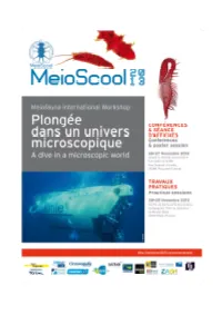 Meioscool Abstract