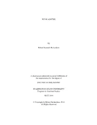 PUNK/ASKĒSIS by Robert Kenneth Richardson a Dissertation