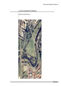 4.0 ANALYSIS and ASSESSMENT of COMPONENTS 4.1.10 Karrawirra/Park 12 Assessment
