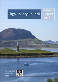 Annual Report 2017