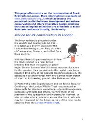 Black Redstarts in London