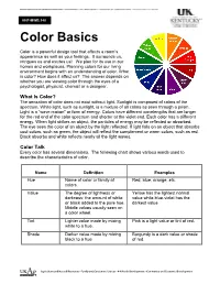 Color Basics