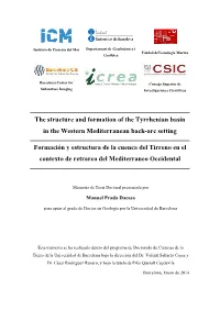 The Structure and Formation of the Tyrrhenian Basin in the Western Mediterranean Back-Arc Setting