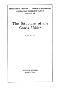 The Structure of the Cow's Udder