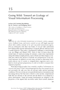 Toward an Ecology of Visual Information Processing