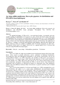 An Asian Edible Mushroom, Macrocybe Gigantea: Its Distribution and ITS-Rdna Based Phylogeny
