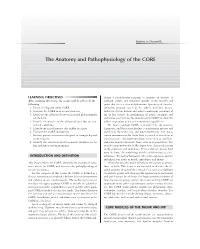 The Anatomy and Pathophysiology of the CORE