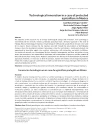 Technological Innovation in a Case of Protected Agriculture in Mexico