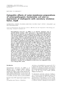Cytopathic Effects of Outer-Membrane Preparations of Enteropathogenic Escherichia Coli and Co- Expression of Maltoporin with Secretory Virulence Factor, Espb