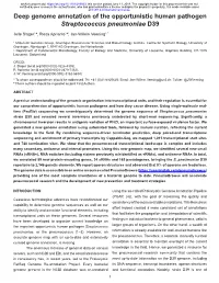 Deep Genome Annotation of the Opportunistic Human Pathogen Streptococcus Pneumoniae D39