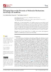 Emerging Data on the Diversity of Molecular Mechanisms Involving C/D Snornas