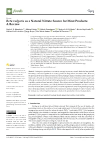 Beta Vulgaris As a Natural Nitrate Source for Meat Products: a Review