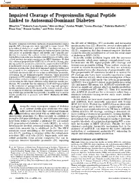 Impaired Cleavage of Preproinsulin Signal Peptide Linked To